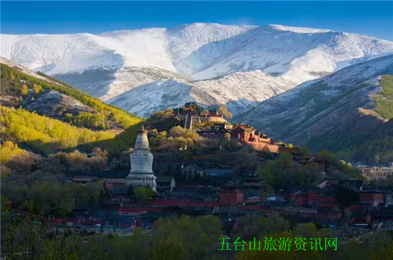 石家莊包車五臺山啟智祈福2日游線路（2人起價）